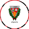 Escudo de VYNZ CLUB