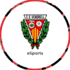 Escudo de VYNZ CLUB